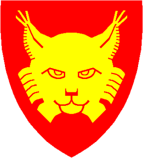 Hemsedal kommune